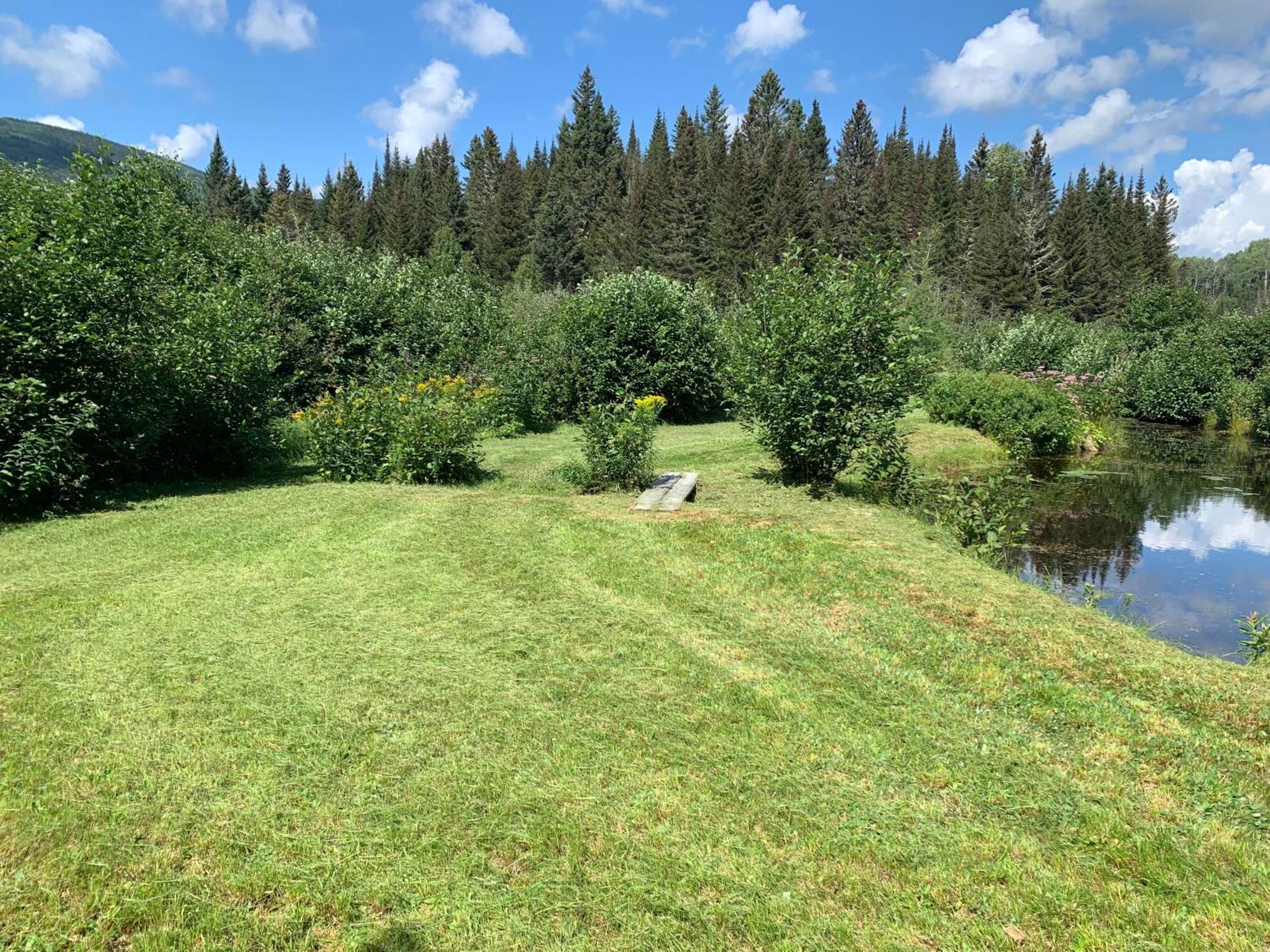 Le Ti Moose Villa La Malbaie Buitenkant foto