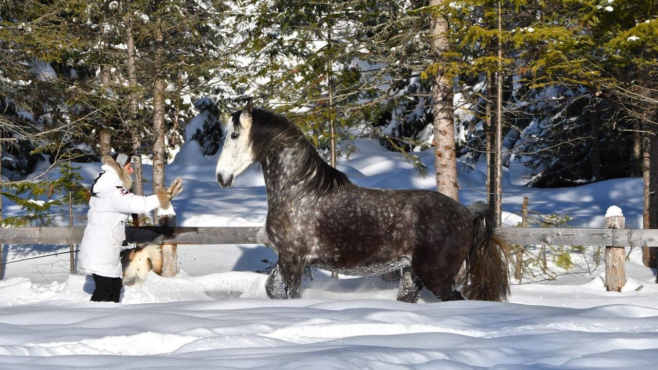 Le Ti Moose Villa La Malbaie Buitenkant foto