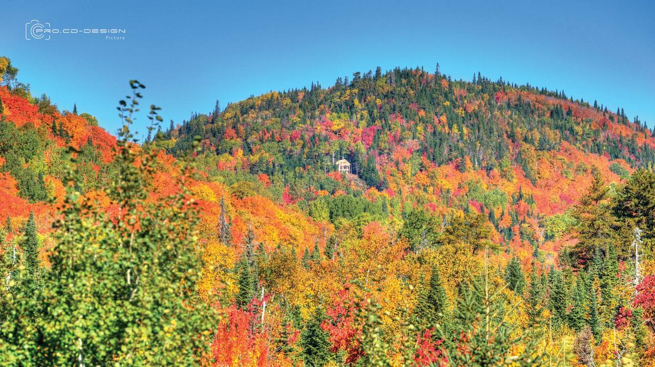 Le Ti Moose Villa La Malbaie Buitenkant foto