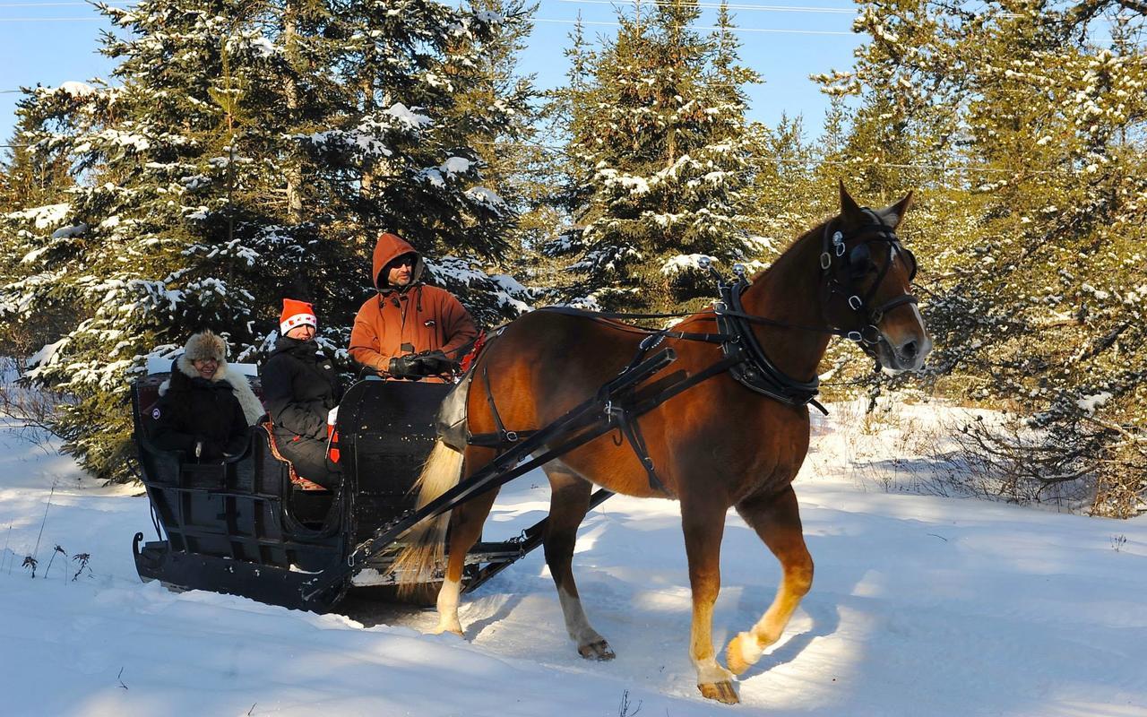 Le Ti Moose Villa La Malbaie Buitenkant foto